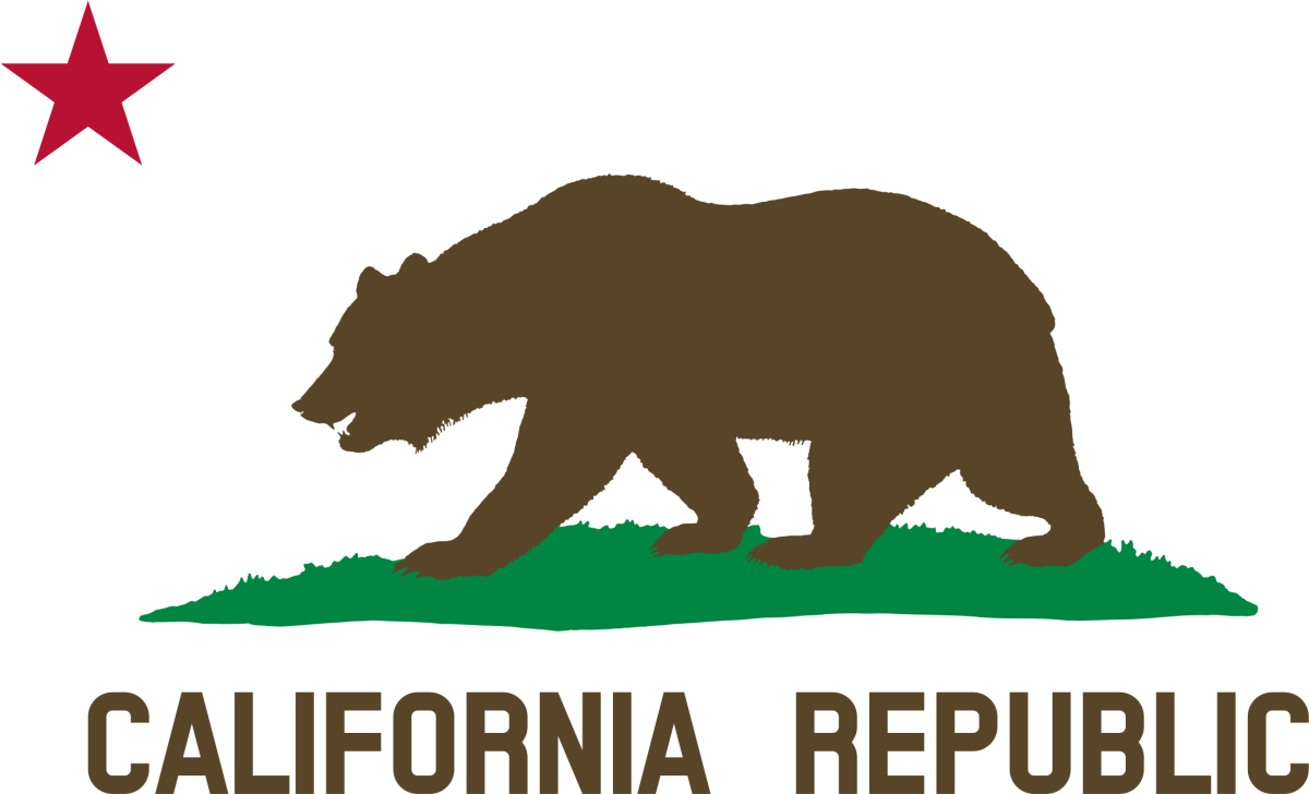 Изображение медведя для логотипа