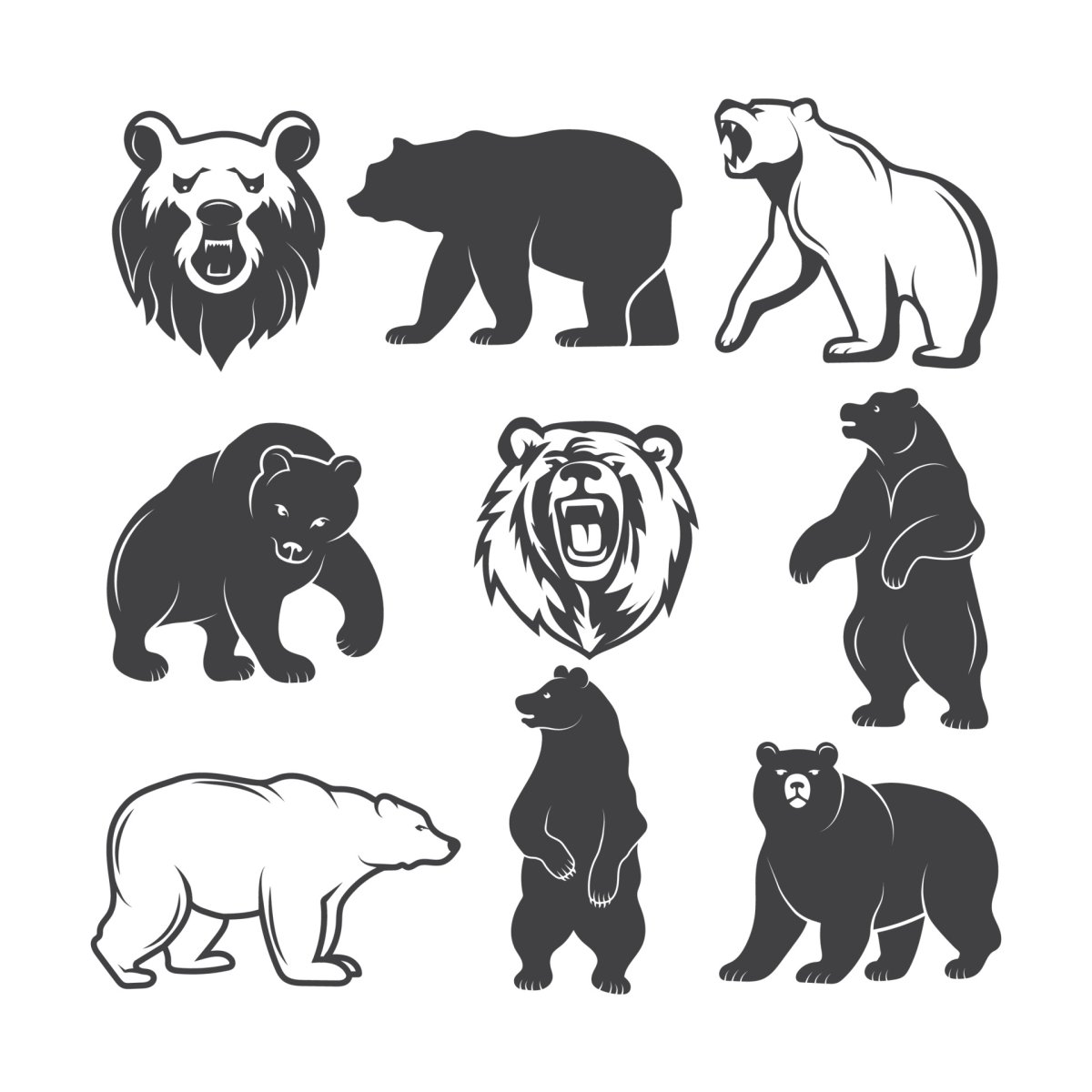 Очертания морды медведя