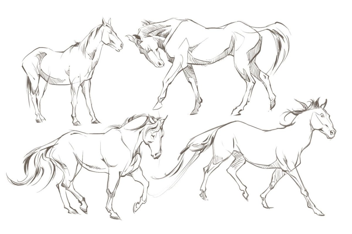 Лошадь эскиз