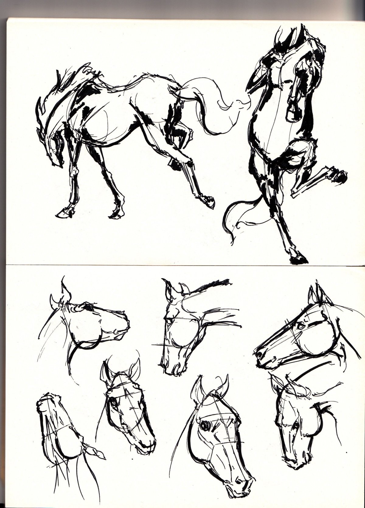 Лошадь скетч маркерами