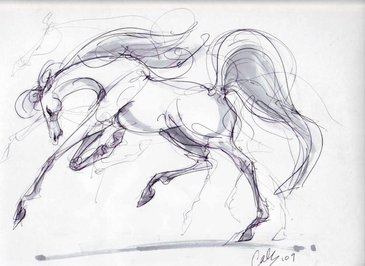 Лошадь эскизы нарисованные цветные