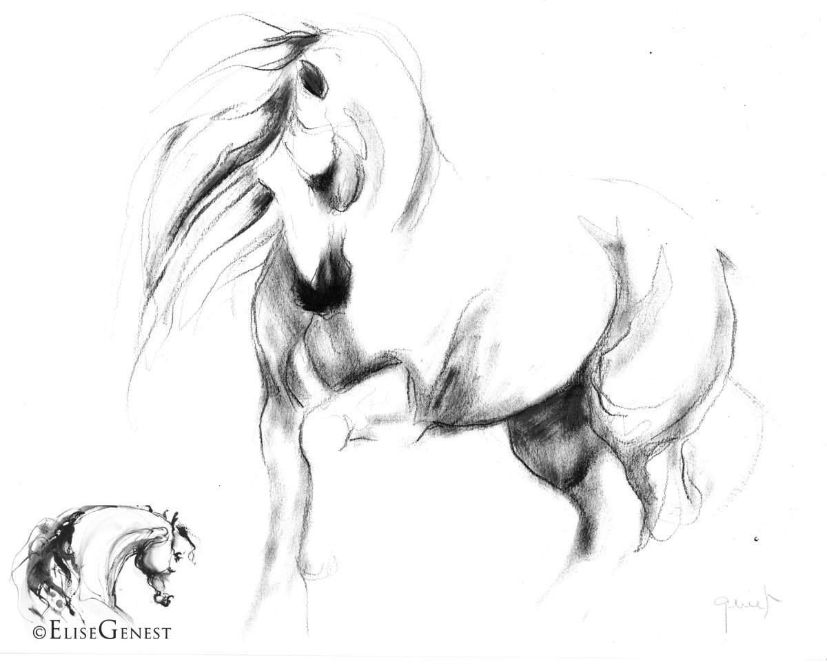 Карандашный набросок лошади