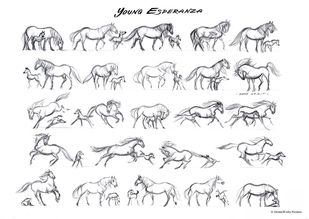 Позы лошадей референс