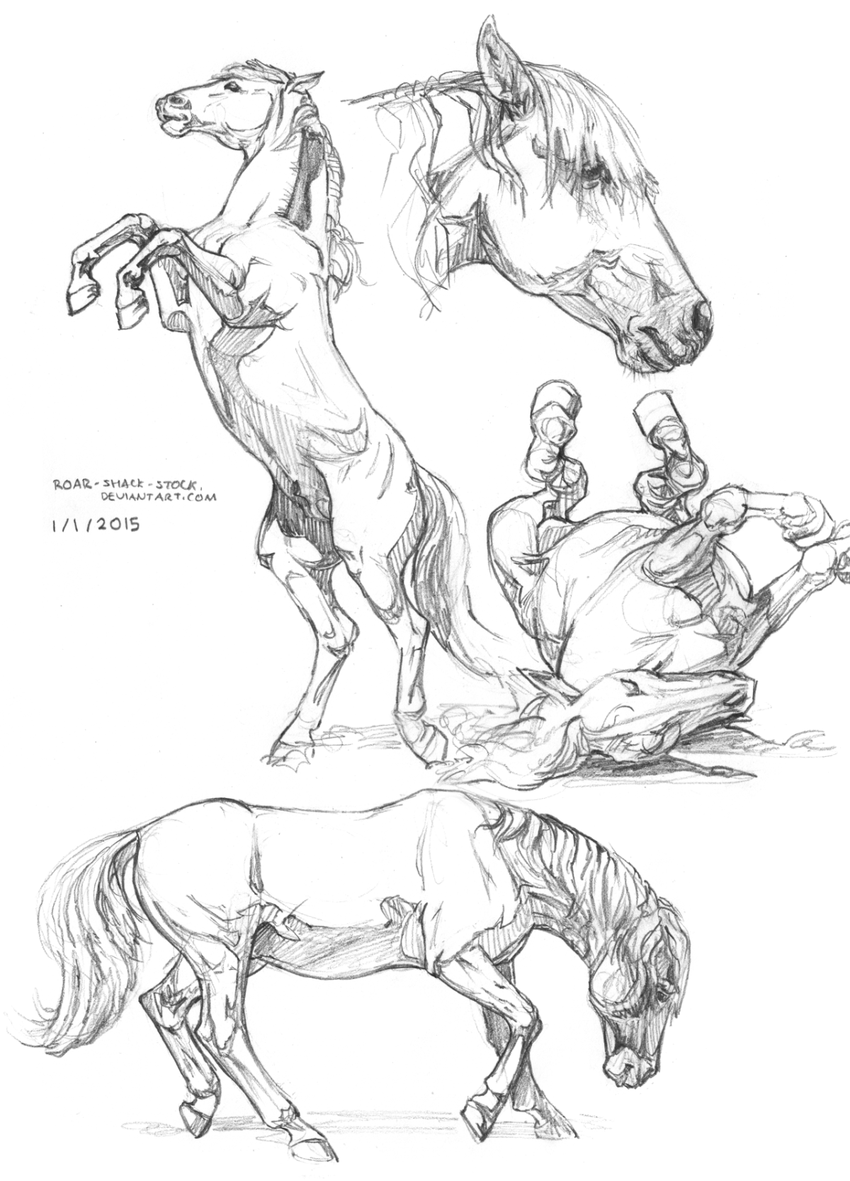 Бегущая лошадь сбоку референс