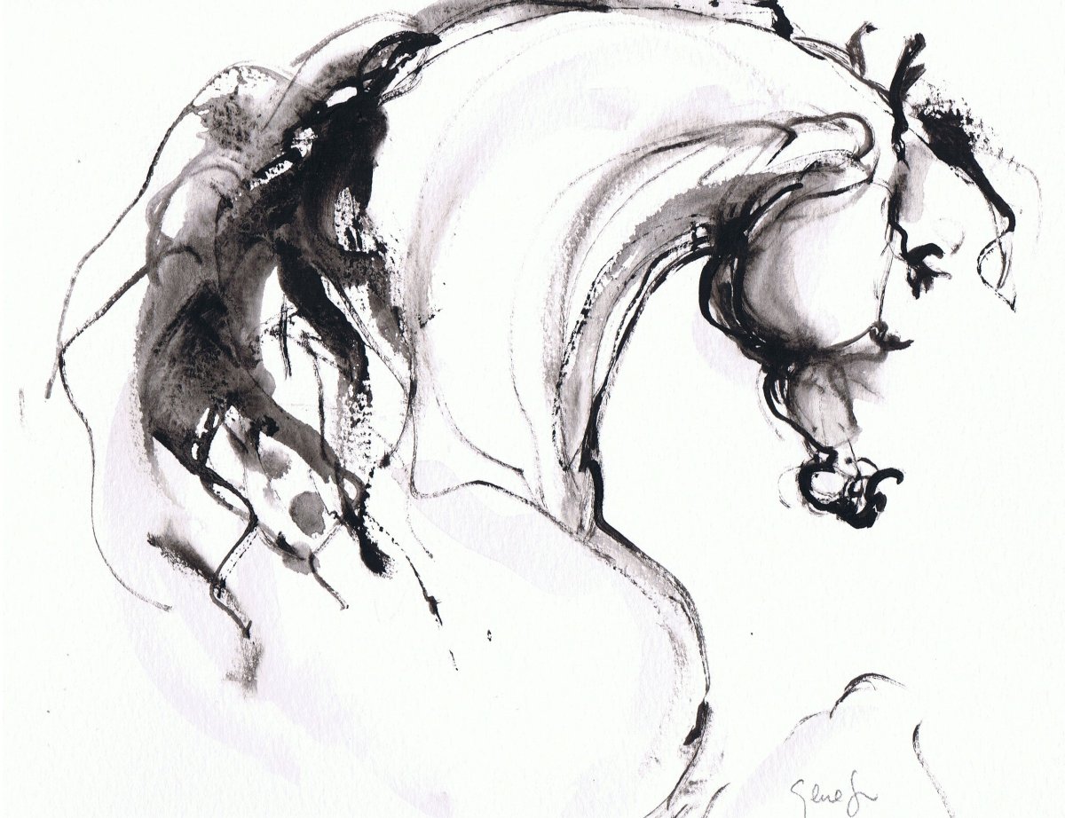 Две лошади карандашом