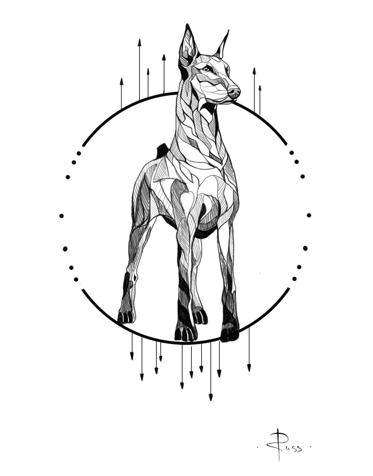 Лошадь ракурс снизу