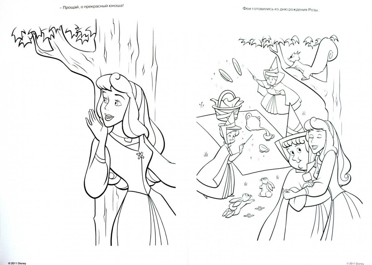 Каскраскавасилиса прекрасная