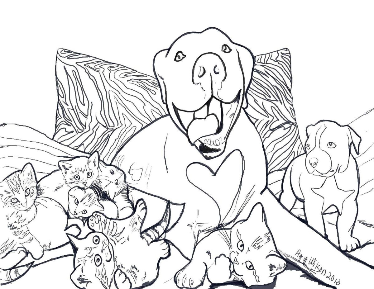 Кошки и собаки. Раскраска