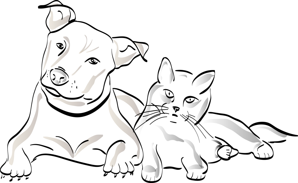 Раскраска питомцы