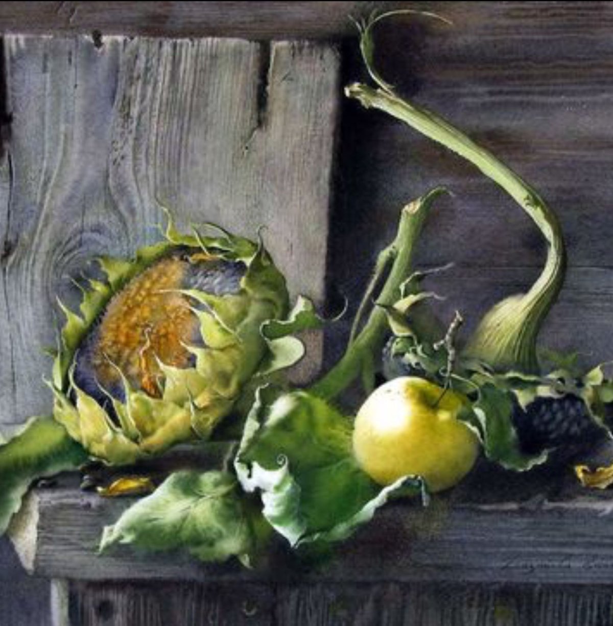 Елена Базанова акварель