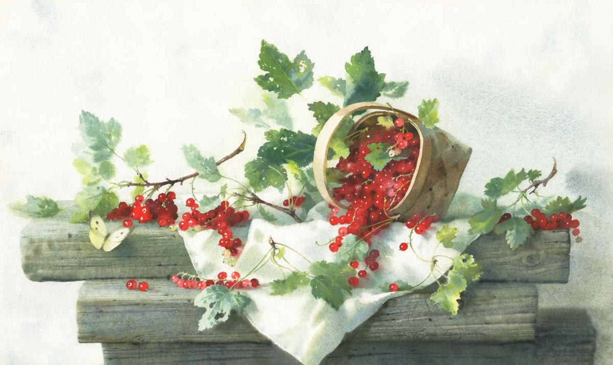 Смородина акварелью Елена Базанова