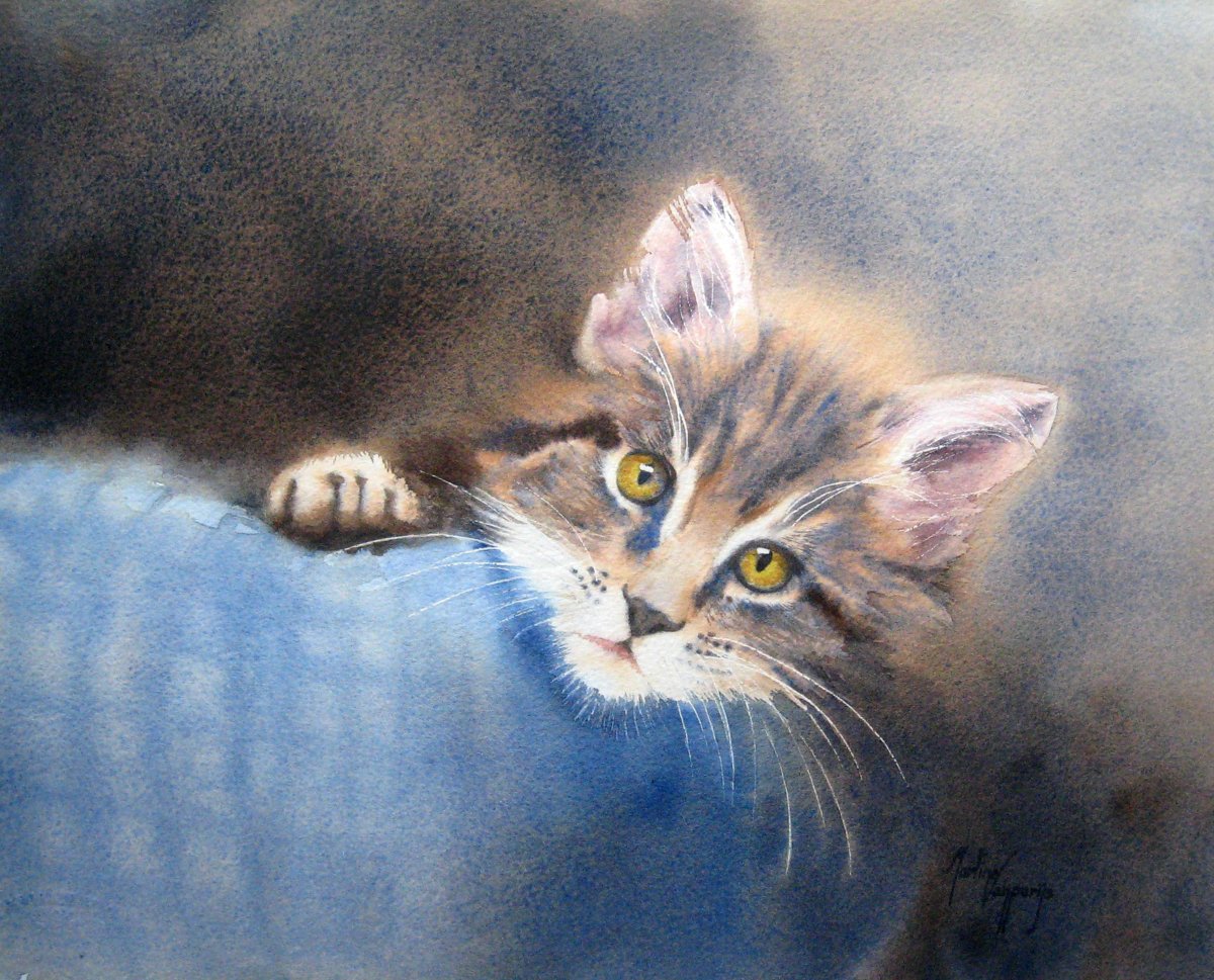 Портрет кошки акварелью