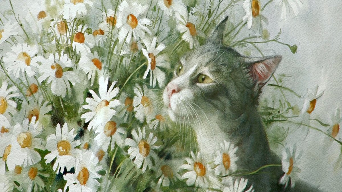 Акварельные кошки Елены Базановой