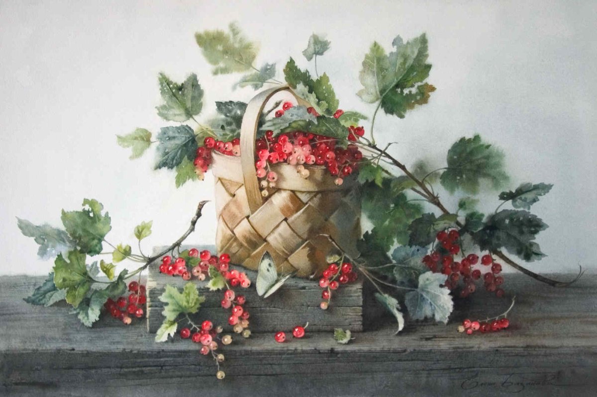 Красная смородина акварель Елена Базанова