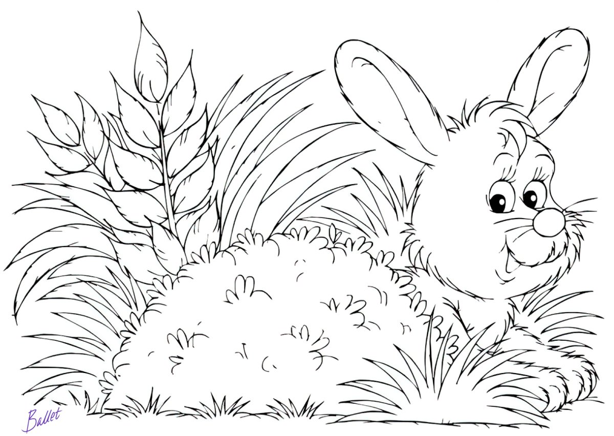 Раскраски для детей природа и животные