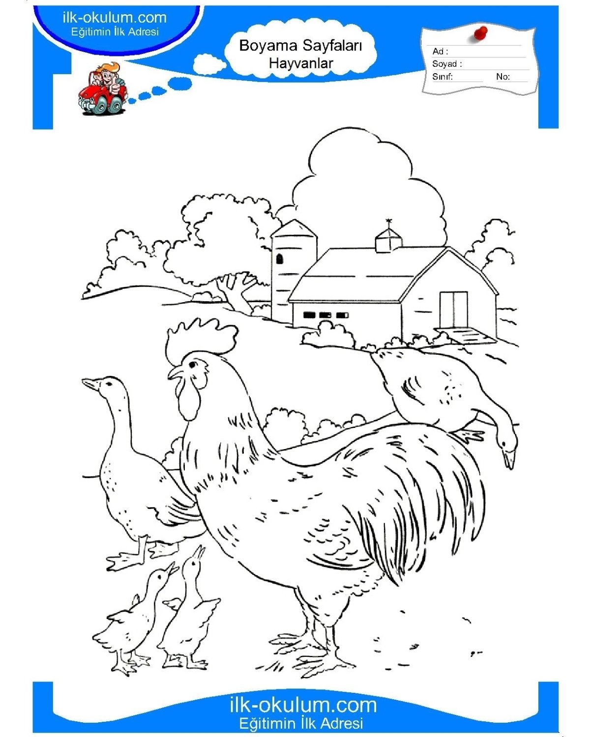 Раскраска лошади на природе