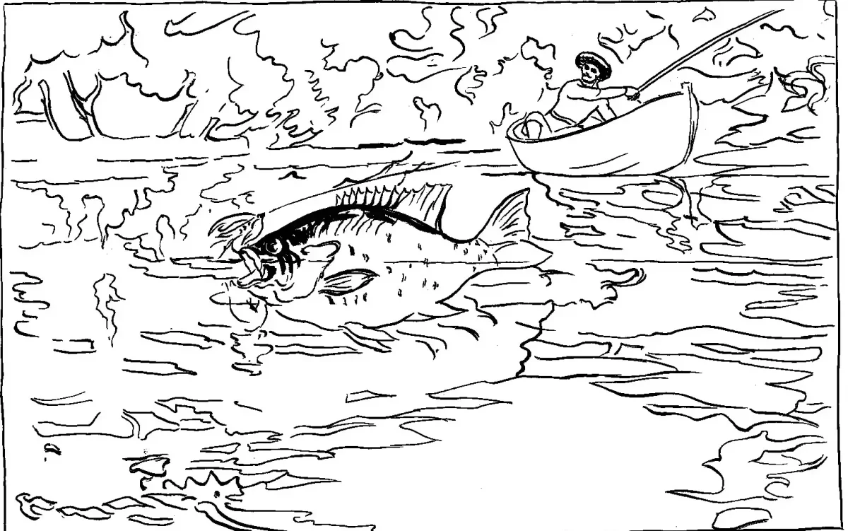 Рыбалка раскраска для детей