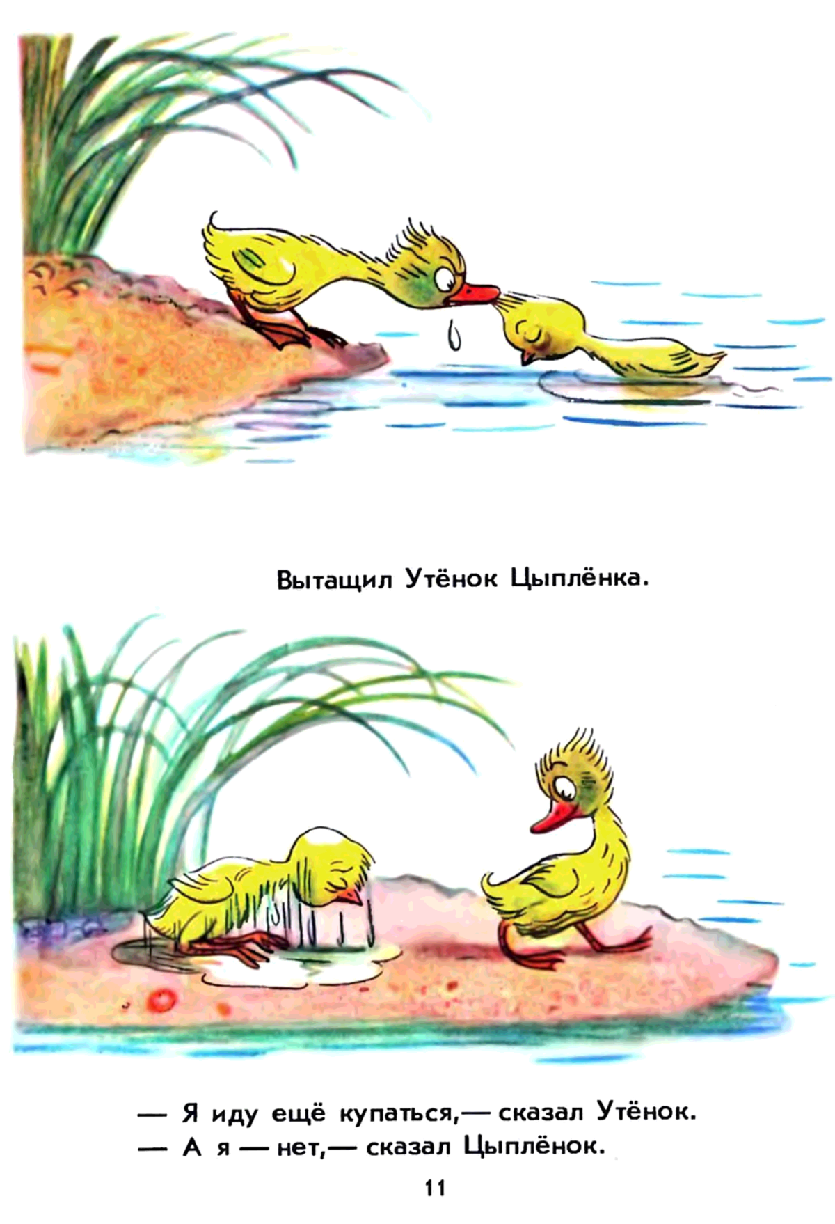 Цыплята на лугу раскраска