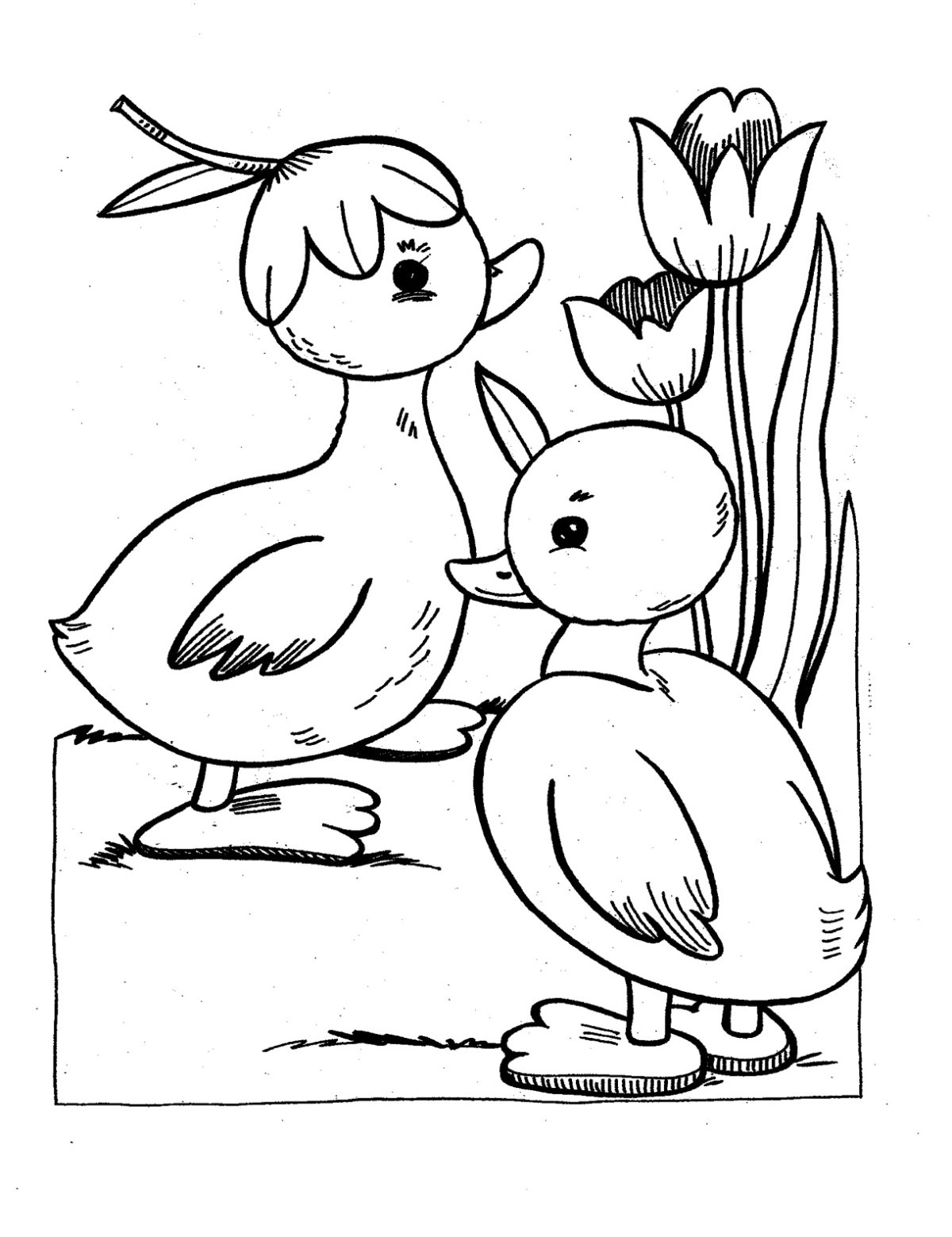 Раскраска утенок с родителями