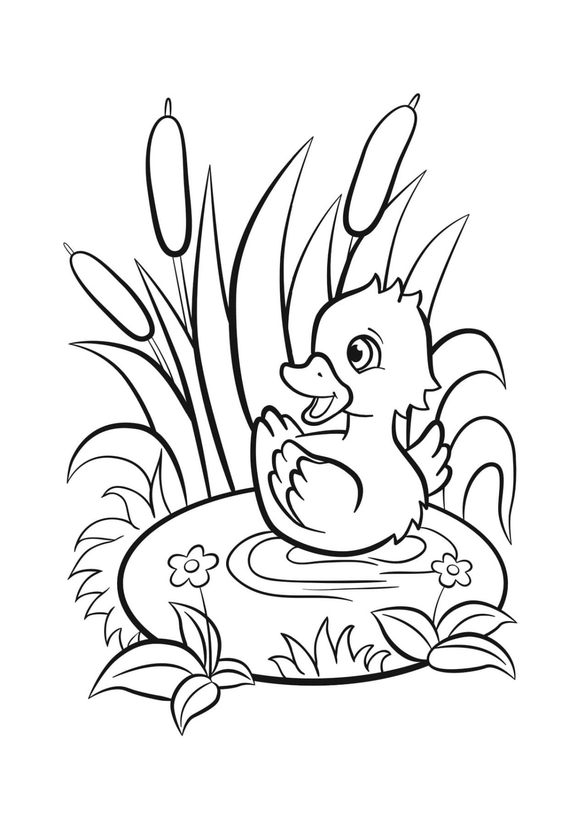 Уточка на озере раскраска