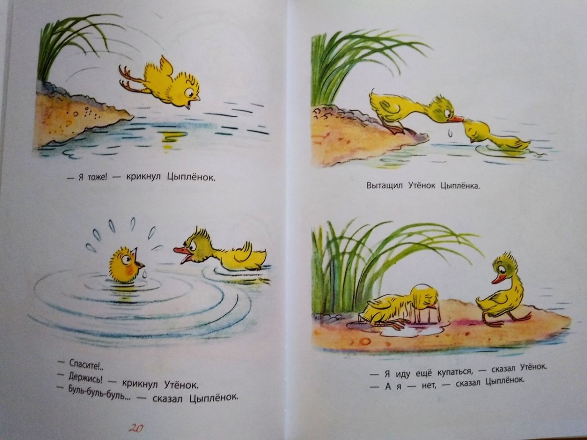 Сутеев в.г. "цыплёнок и утёнок"