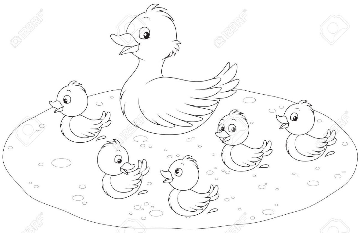 Сутеев в. "цыпленок и утенок"