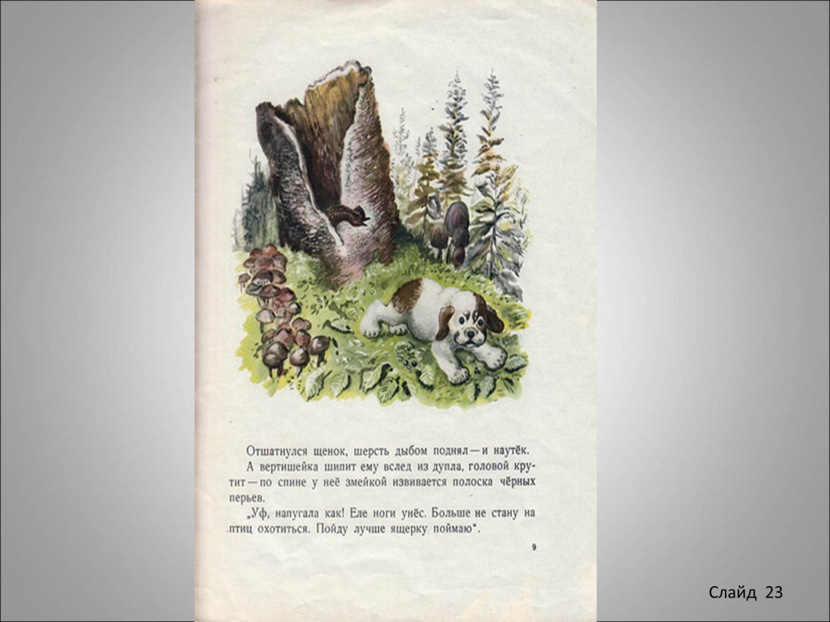 Виталий Бианки приключения муравьишки