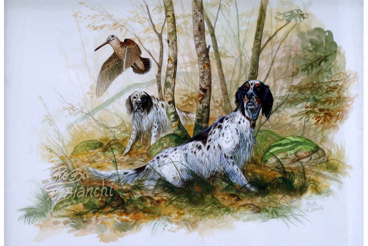 Первая охота иллюстрации Чарушина