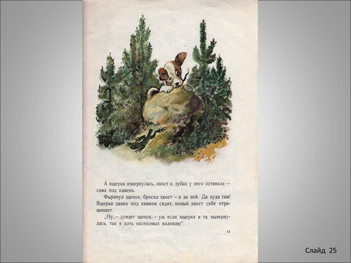 Первая охота Виталий Бианки