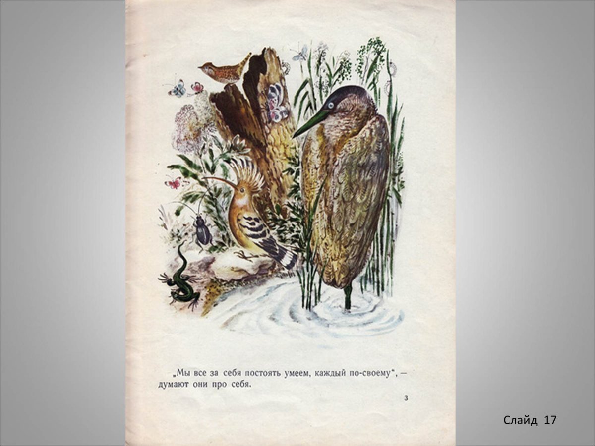 Первая охота Виталий Бианки