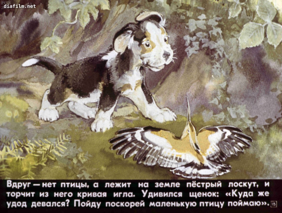 Первые рассказы Бианки