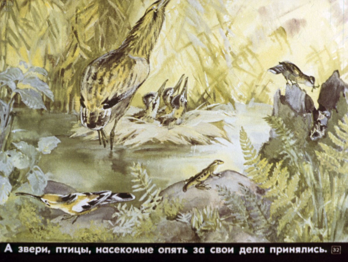 Рисунок к рассказу 1 охота