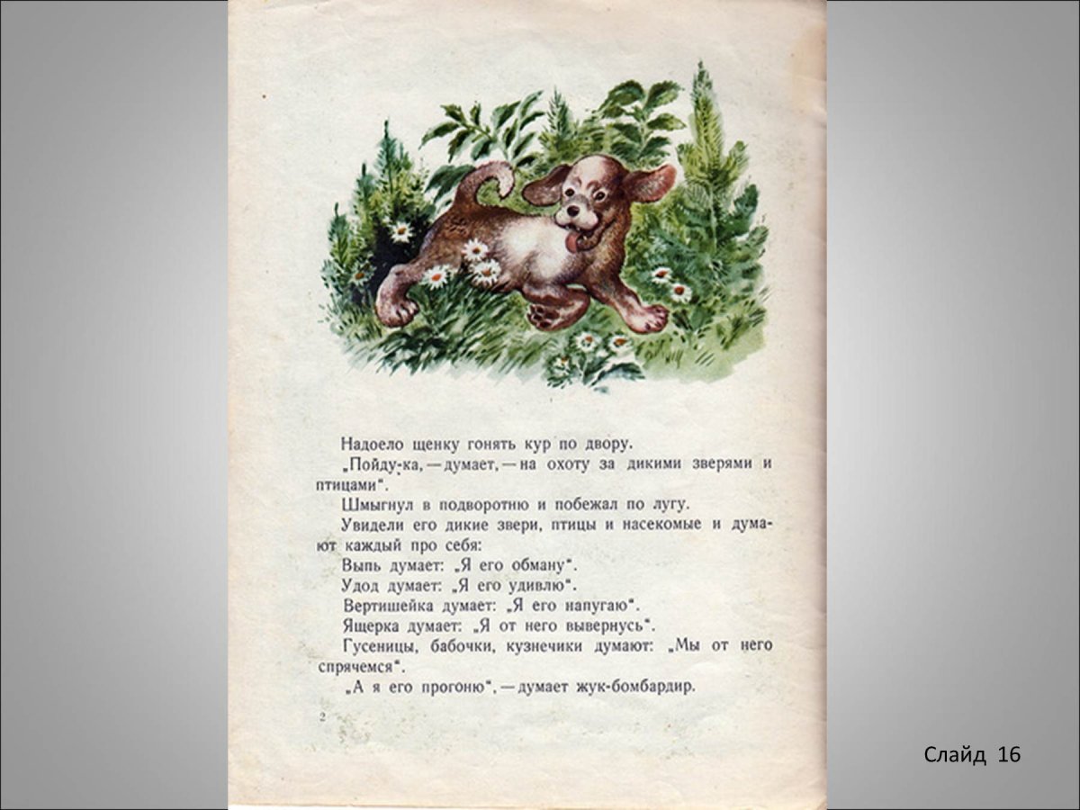 Первая охота обложка