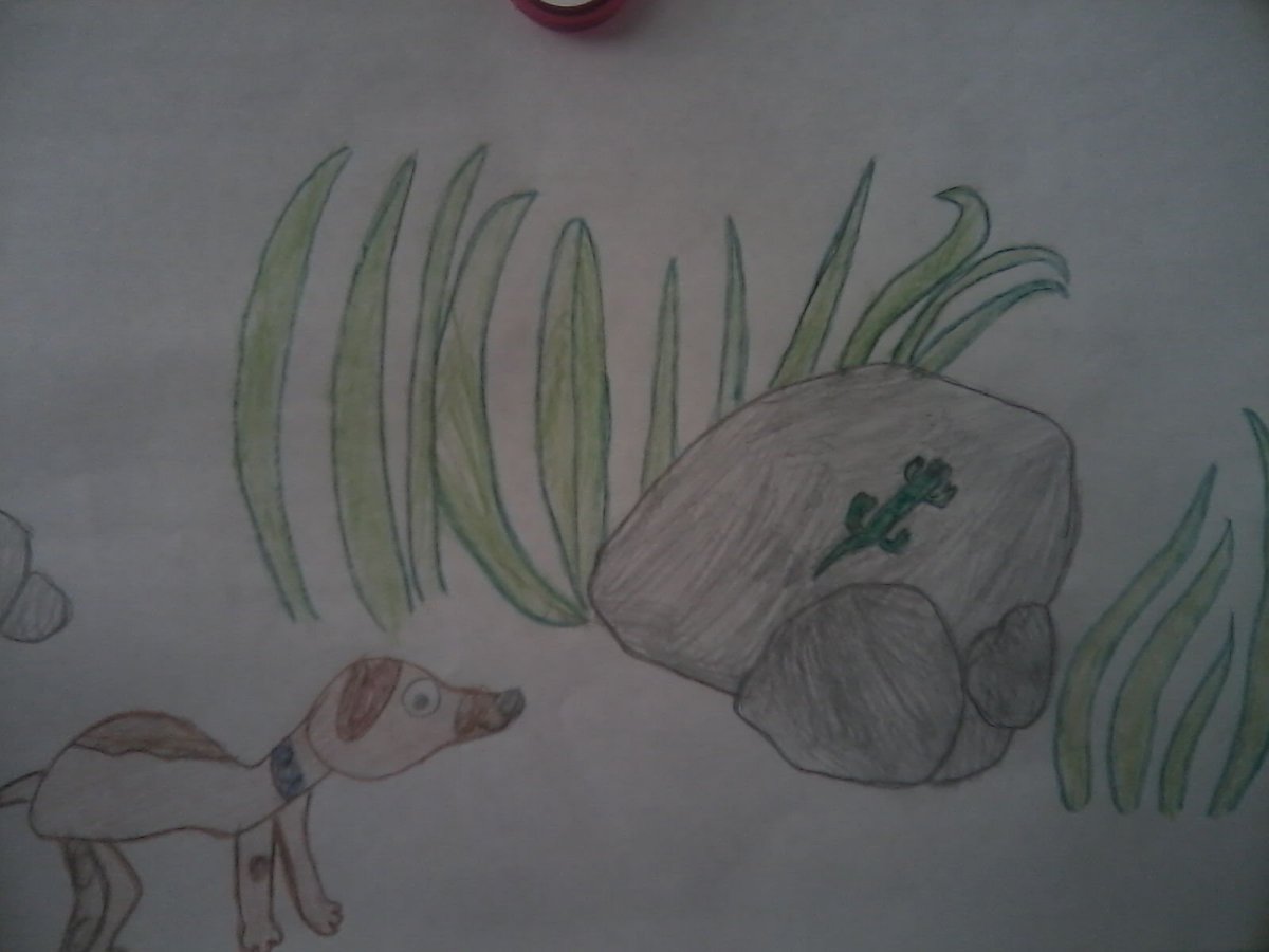 Бианки первая охота диафильм