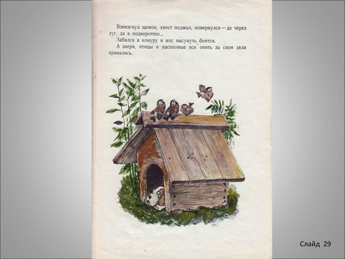 Собака и ящерица