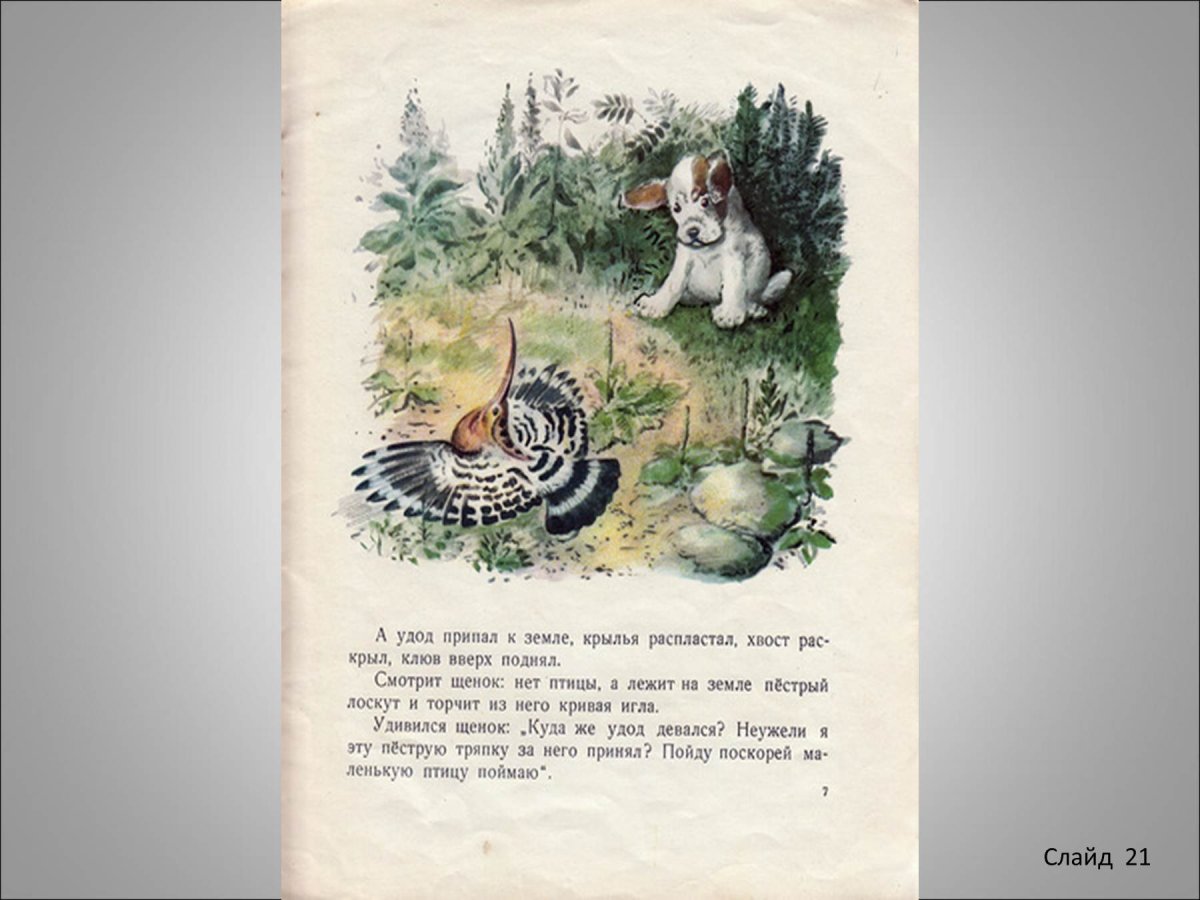 Первая охота Виталий Бианки