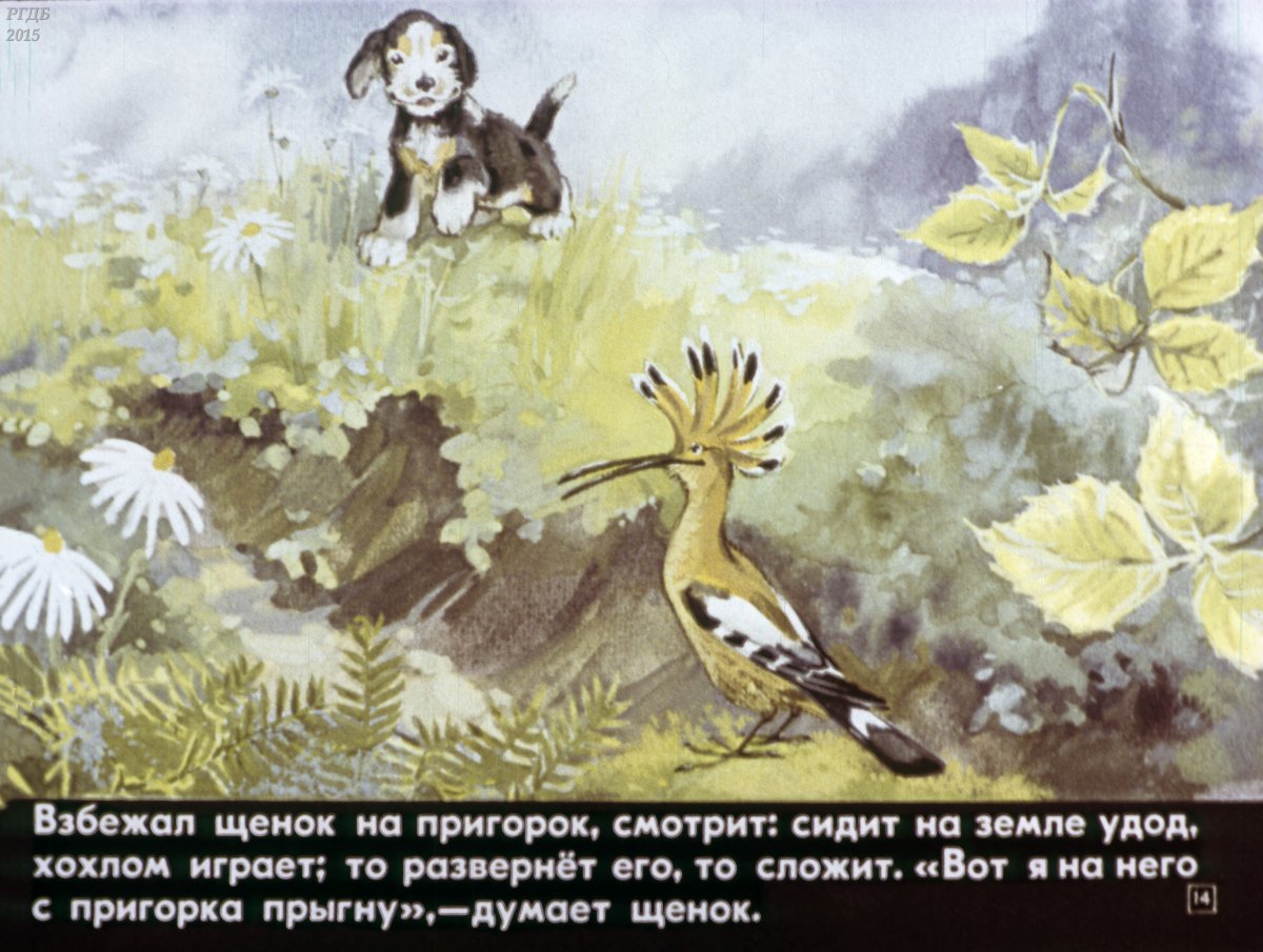 Диафильм первая охота.