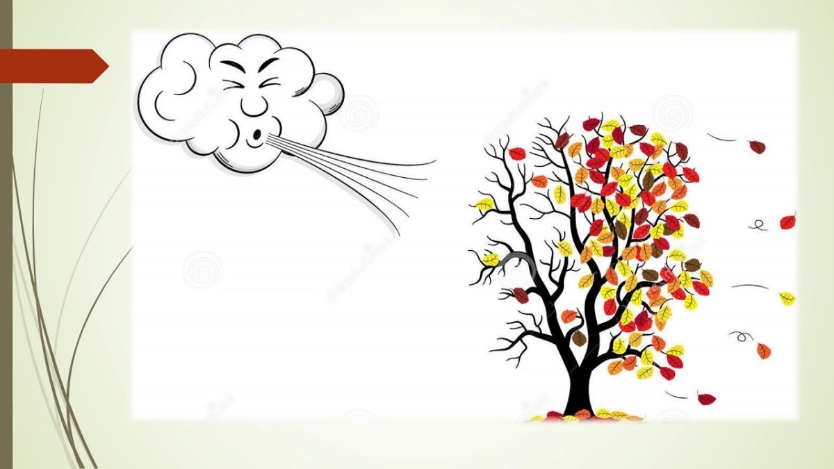 Ветер дует на дерево