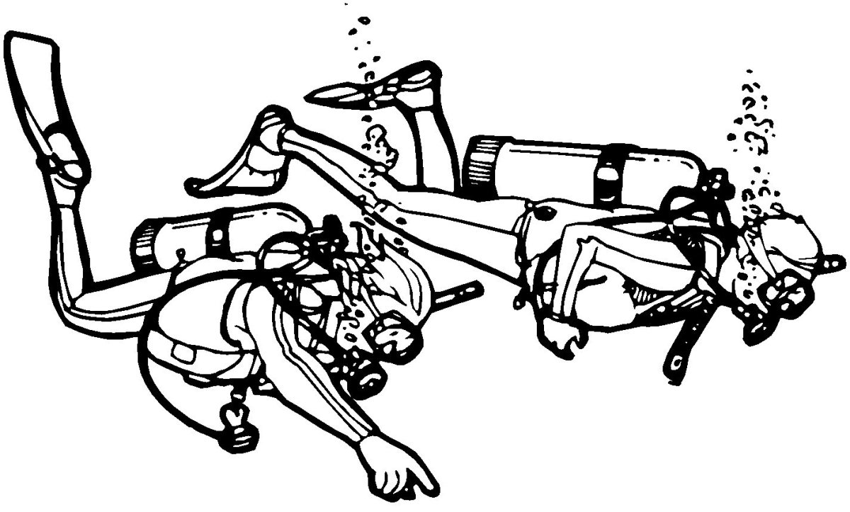 Дайвинг рисунок карандашом