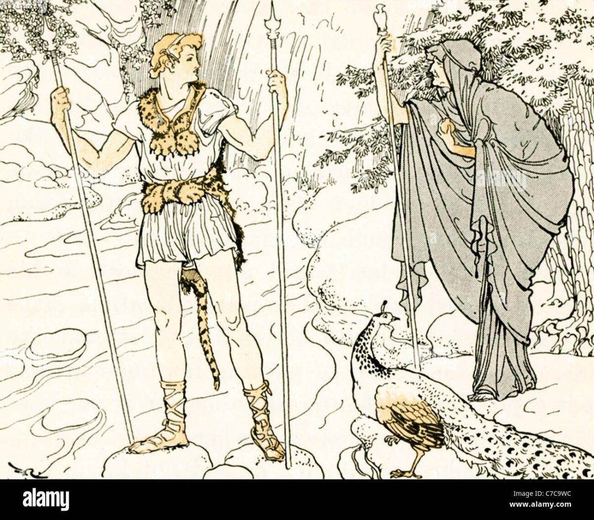 Ясон сын Зевса