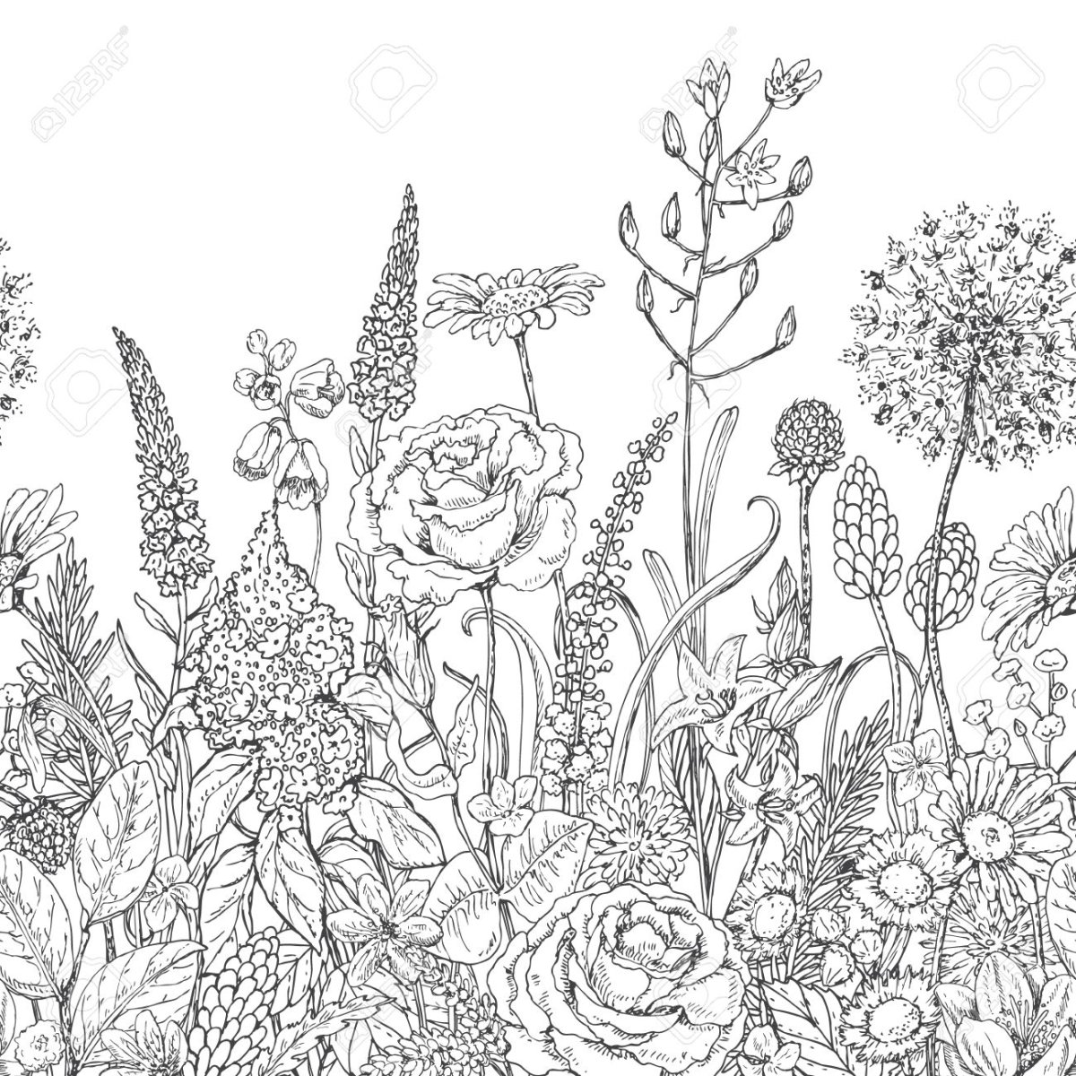 Прозрачные цветы акварелью