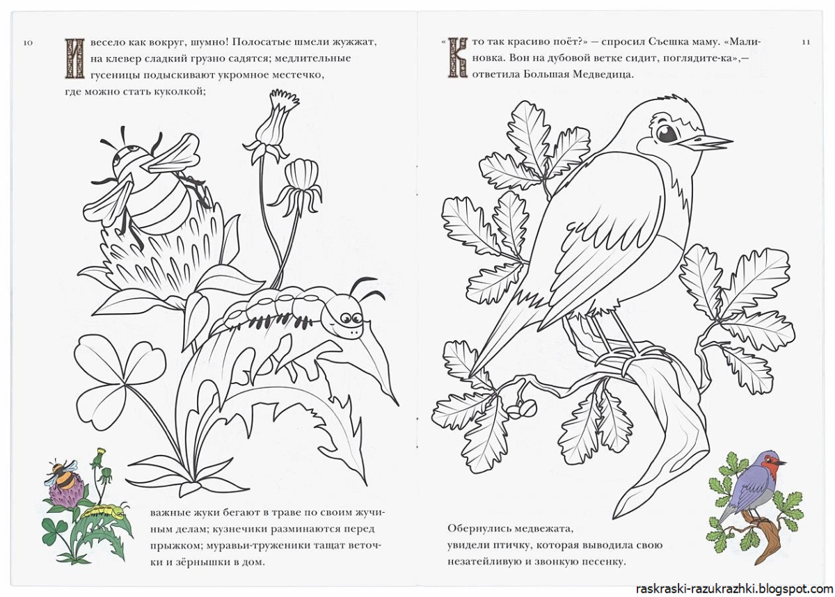 Иллюстрация по сказке журавль и цапля 5 класс