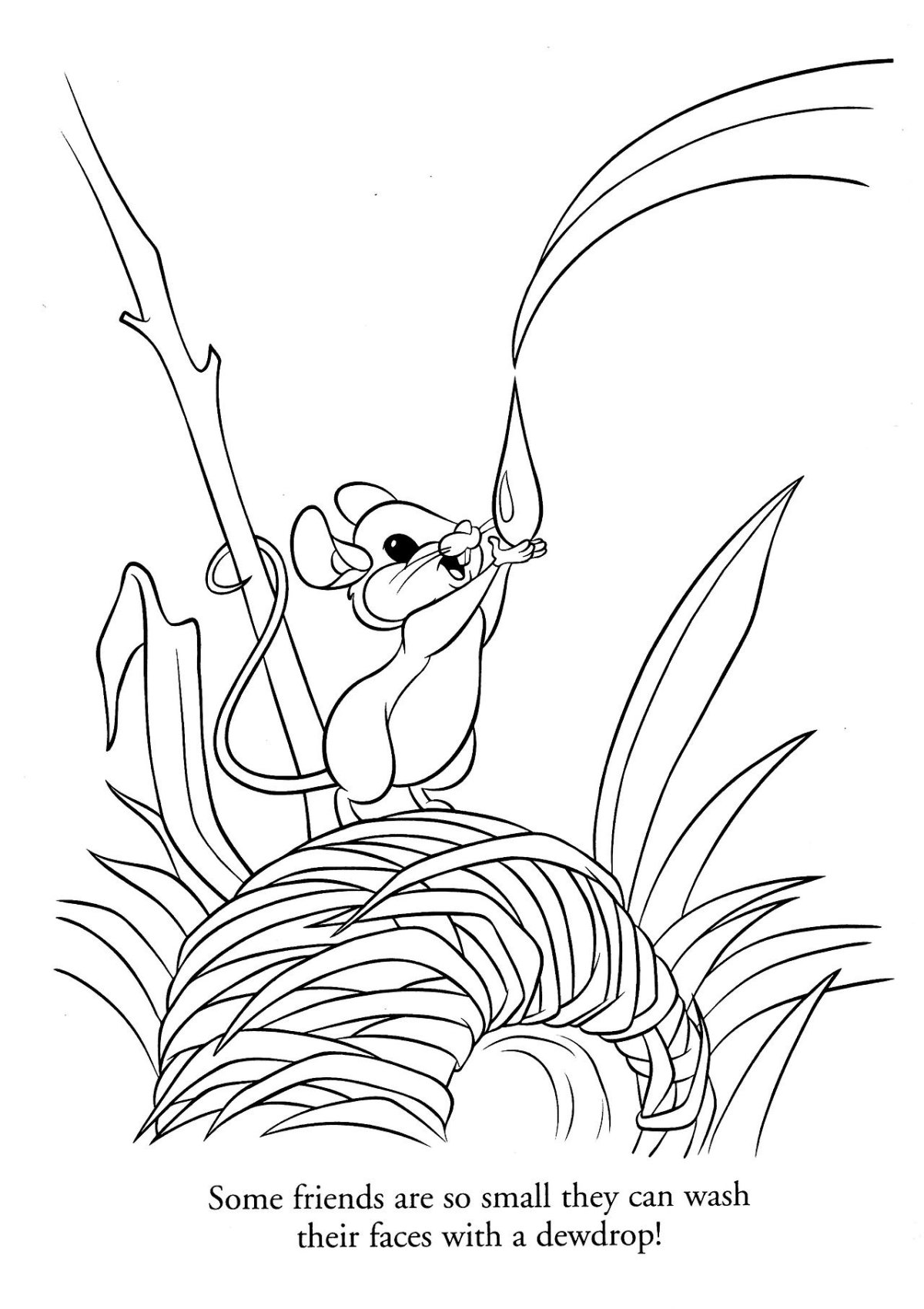 Раскраски. Животные