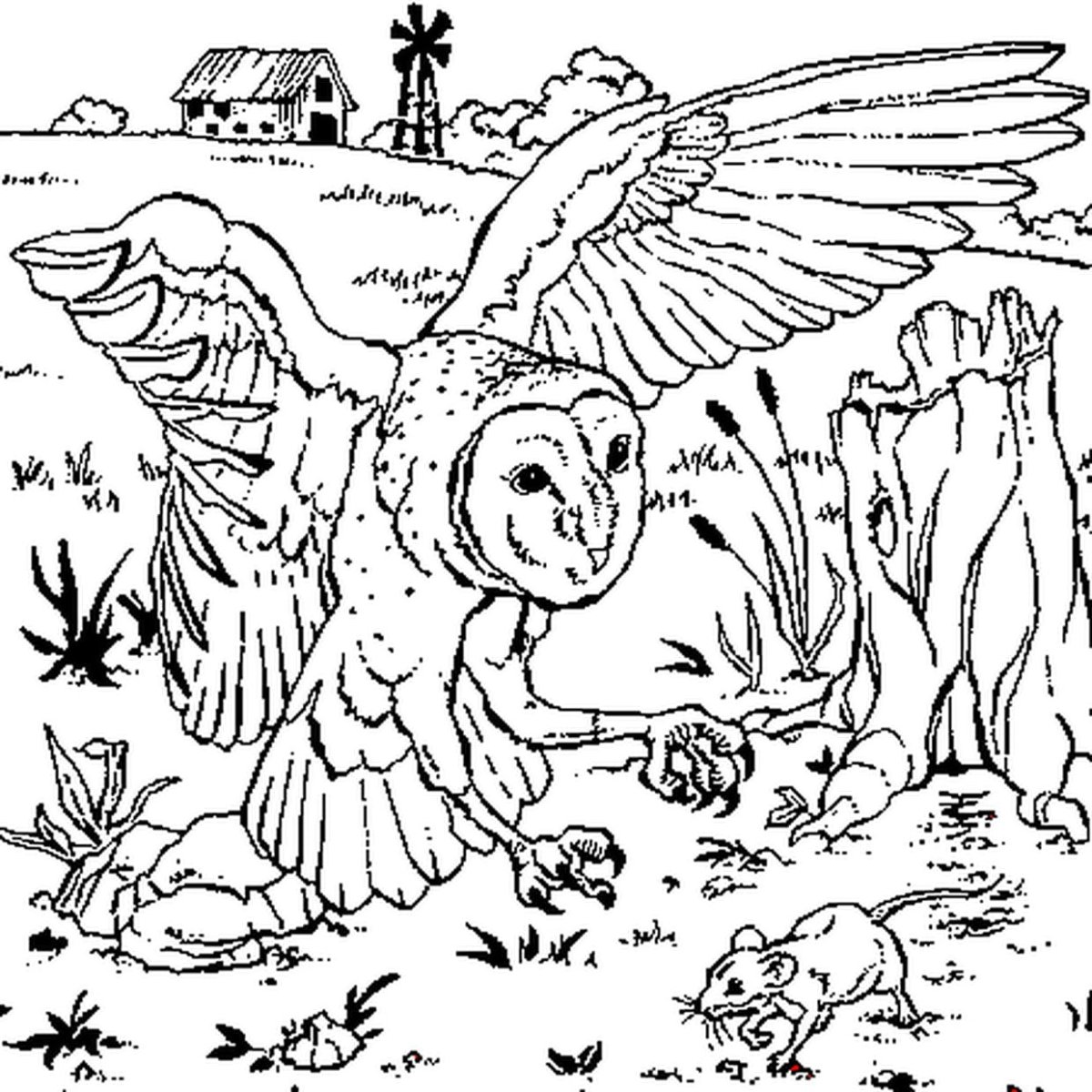 Виталий Бианки Подкидыш иллюстрации