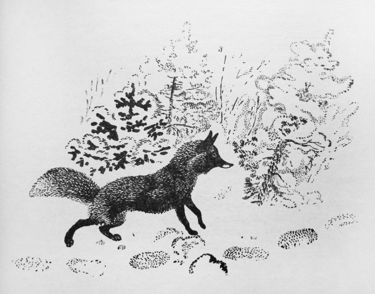 Раскраска зайчиха с зайчатами