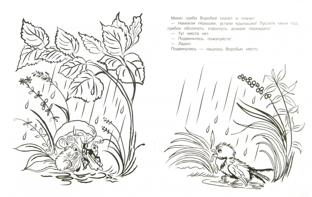 Сова Бианки раскраска для детей