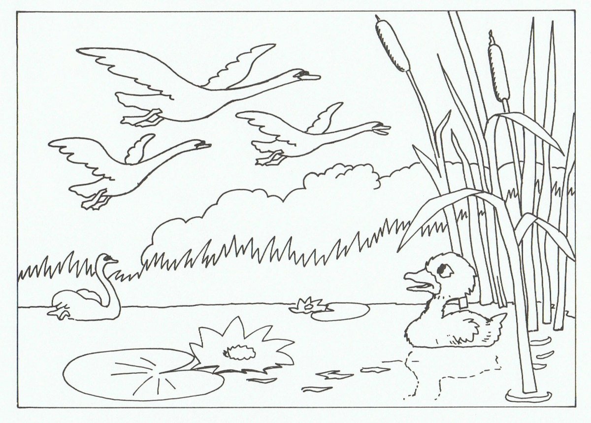 Виталий Бианки иллюстрации к рассказам