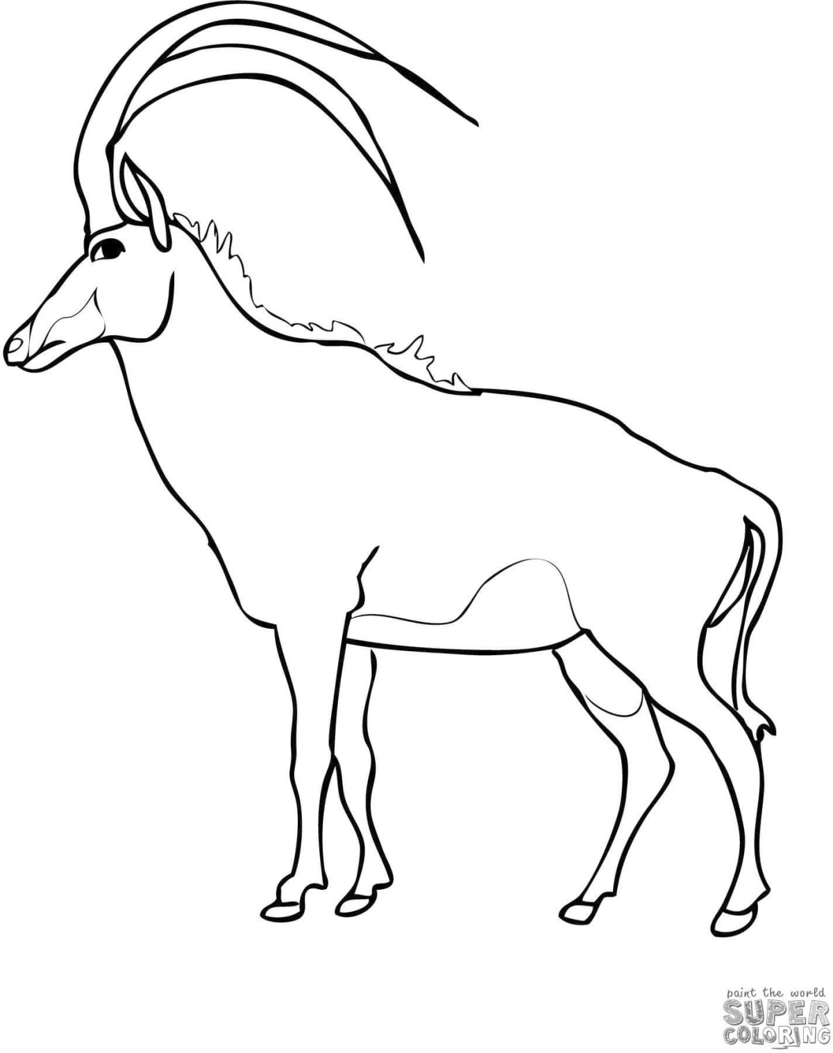 Антилопа раскраска для детей