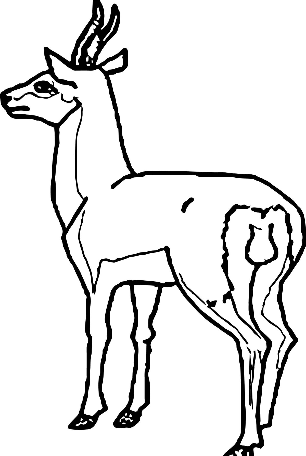 Уолт Дисней рисует Бемби