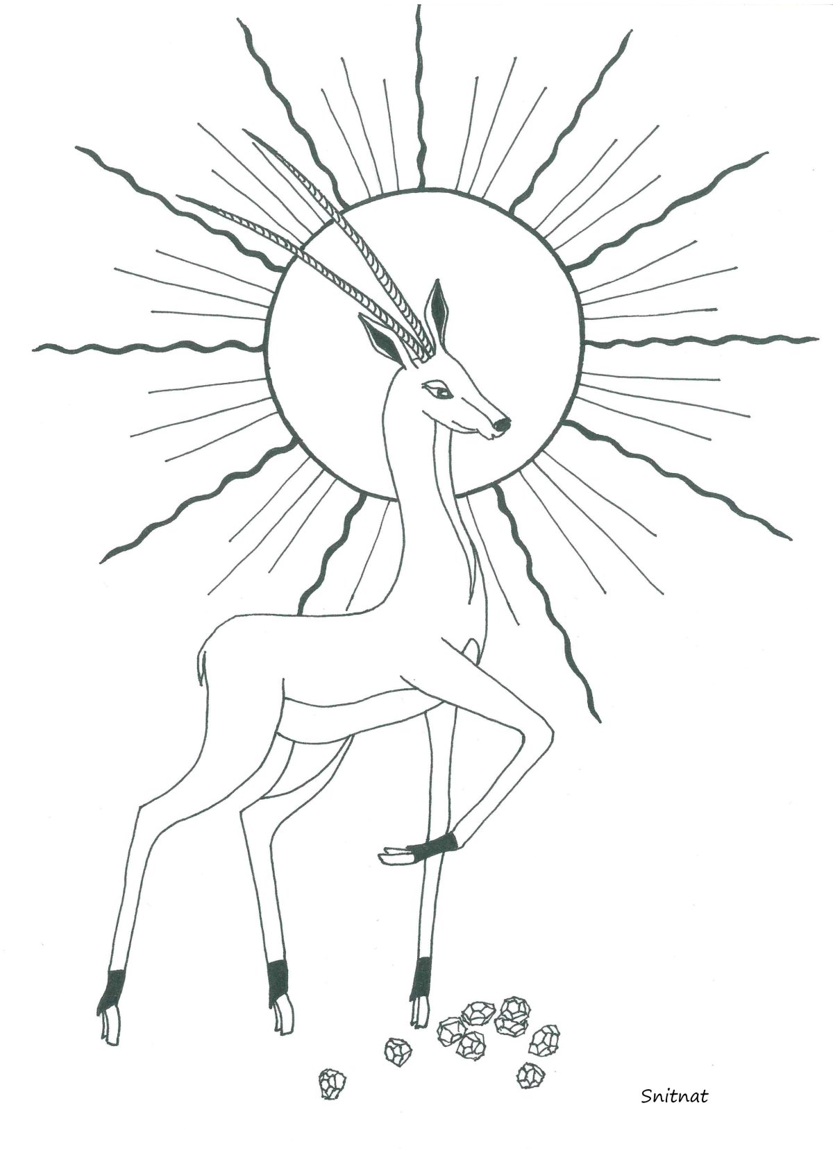 Антилопа раскраска